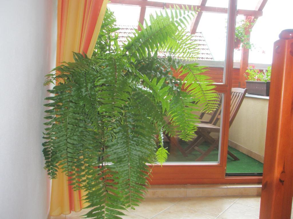 Villa Elena Smižany Pokoj fotografie